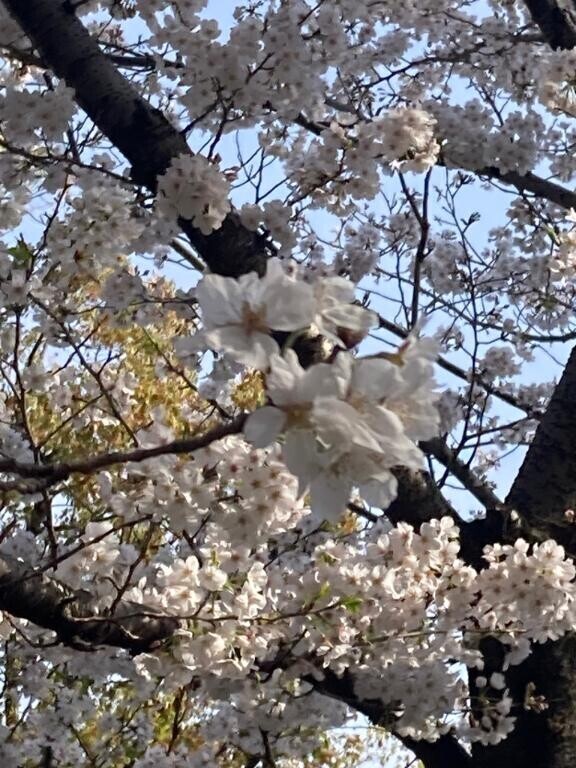 出勤中