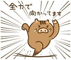 本日も楽しみ
