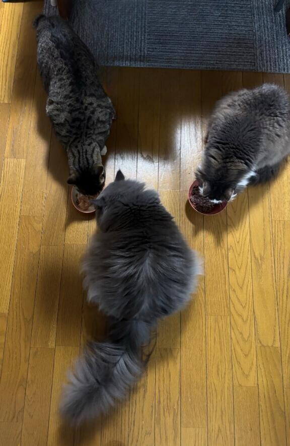 音に惹きつけられて