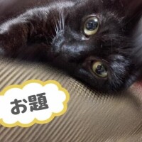 ことみ