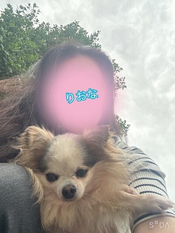 通院になりました