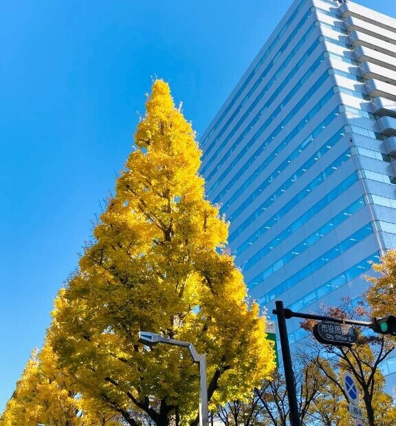 １１月も感謝☆感謝