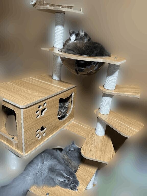 そこ居心地いいの？