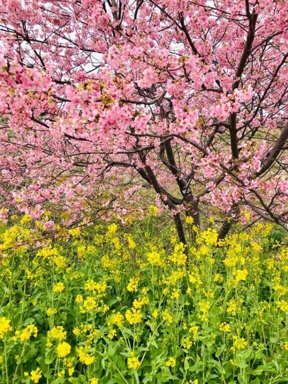 三寒四温だね☆