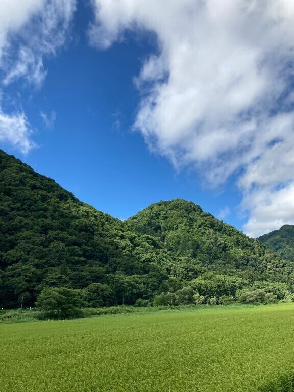 [お題]from:ころんぼ1204さん