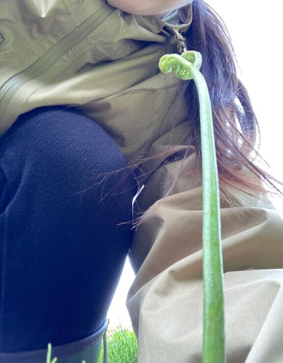 ニョキニョキ
