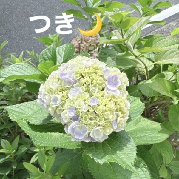 出勤しました🫡✨