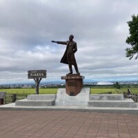 出勤してます🐑