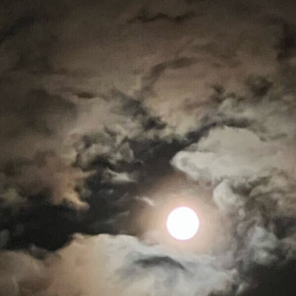 月🌙