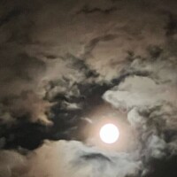 月🌙
