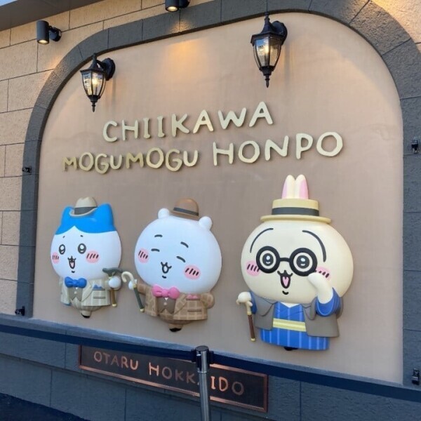出勤してます🐰