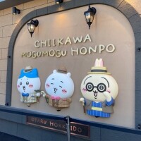 出勤してます🐰