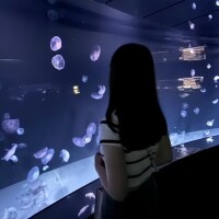 おやすみ。