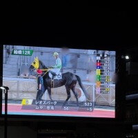 満喫❗️🐴