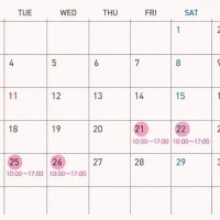 🗓