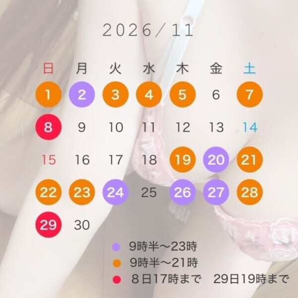 11月の予定