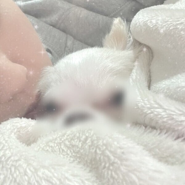 あちゃ〜