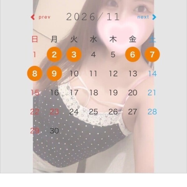 11月前半！