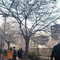 本日もありがとうございました!