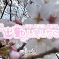 緑の魔女編