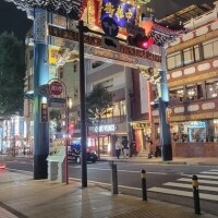 まこ