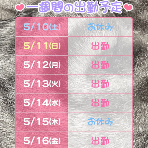 変更です🙌