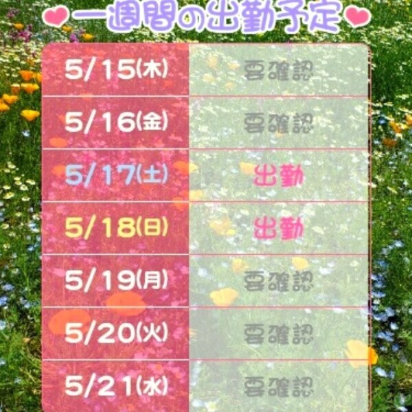 おやすみなさい🌙