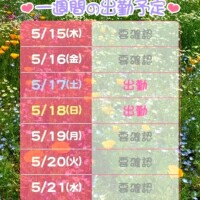 おやすみなさい🌙