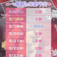 よていです\(//∇//)\