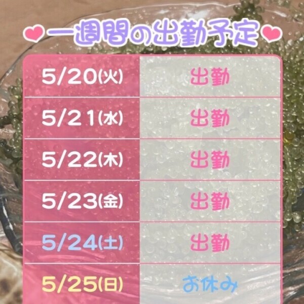 よていです🗓️