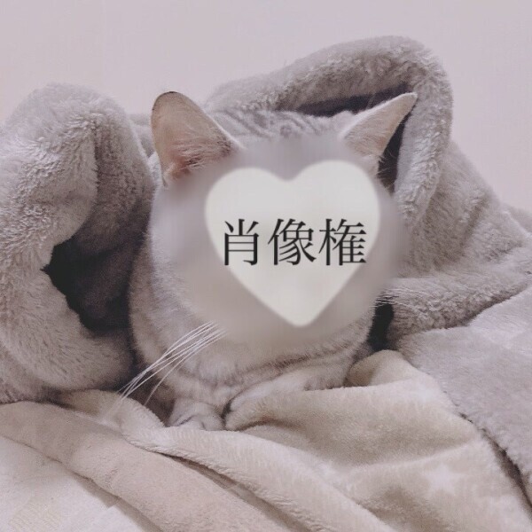 MOF