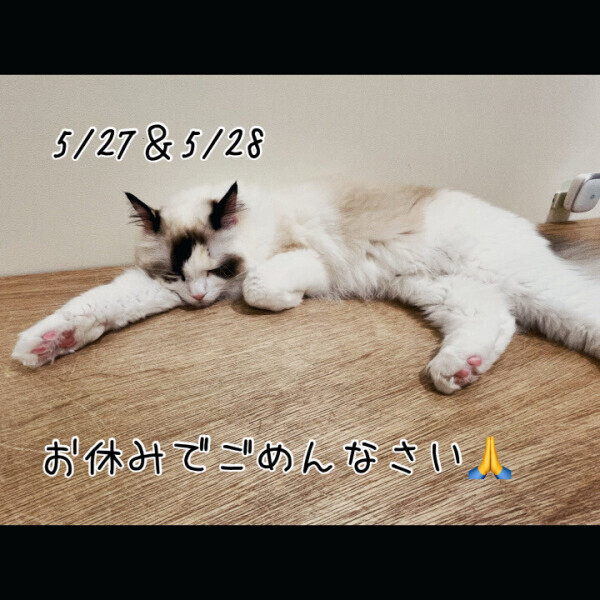 本日お休み(；ω；)