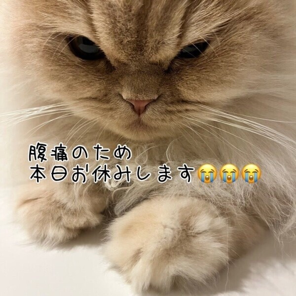 本日お休みします(；ω；)