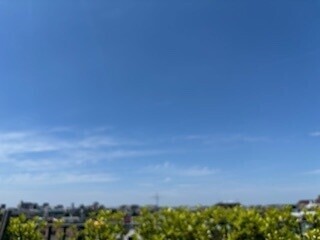 おは