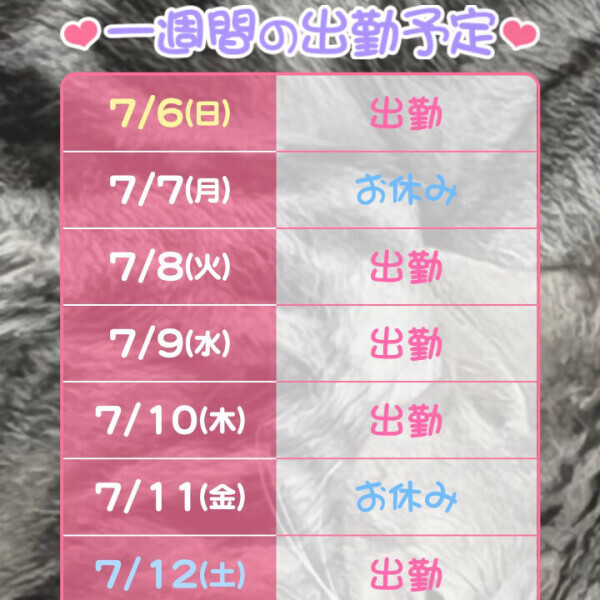 よていです！