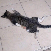 るね