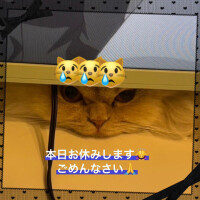 たまき