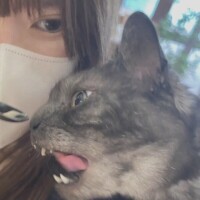 お休みのひ🐈