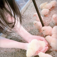 きらり