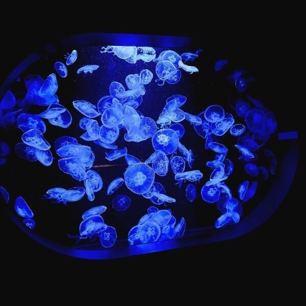 お久しぶりです❄️