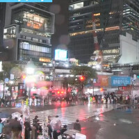 こんばんは❣️