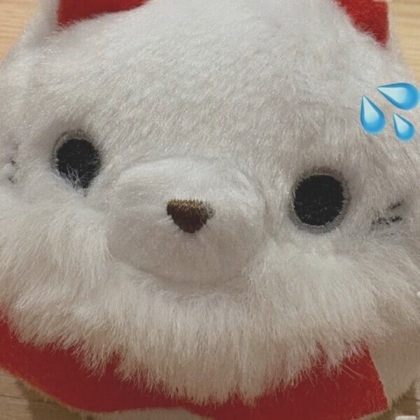 すみません🙇‍♀️💦