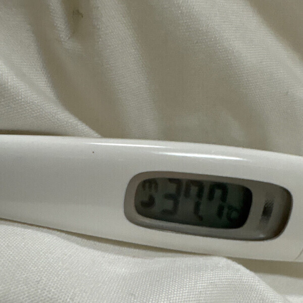 お休み頂きました泣