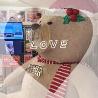 でかクマ🧸🧸つき🌙