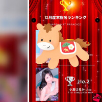 新年のご挨拶とランキングのお礼。