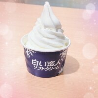 飛びますように✈️