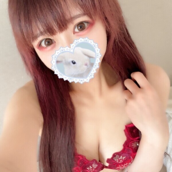 今日は本当にいます🐰