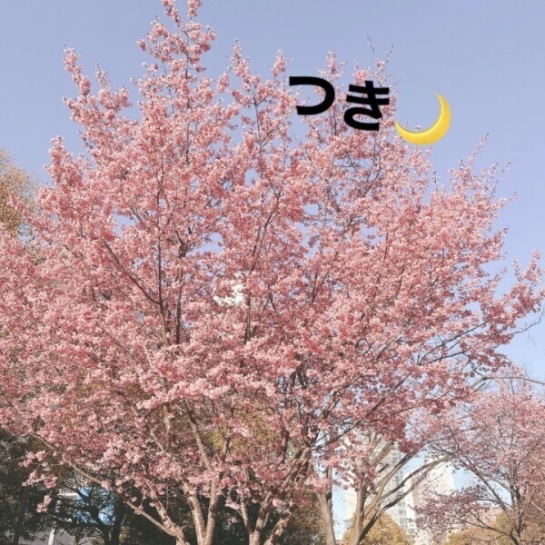 春よ来い💛つき🌙
