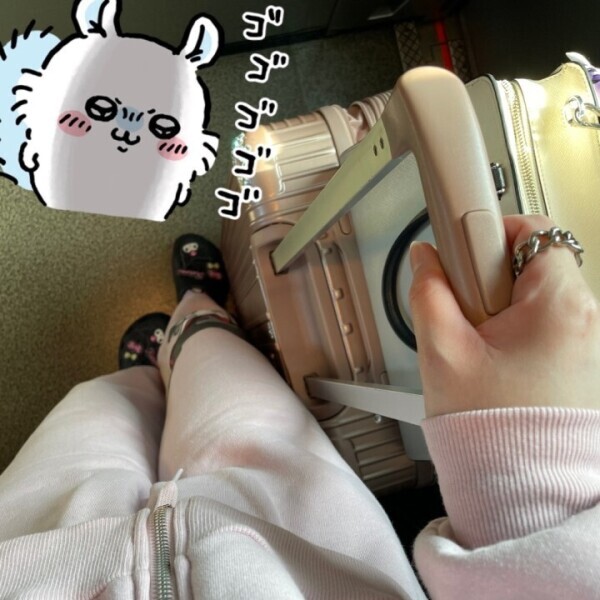 いずはほたのなか