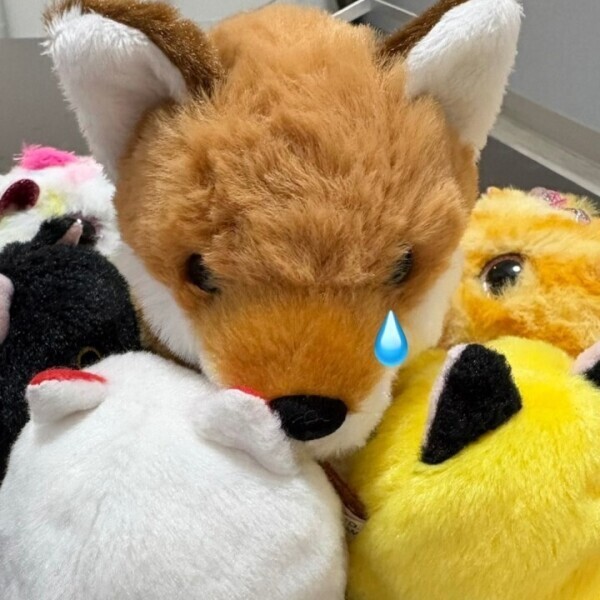 すみません💦😢